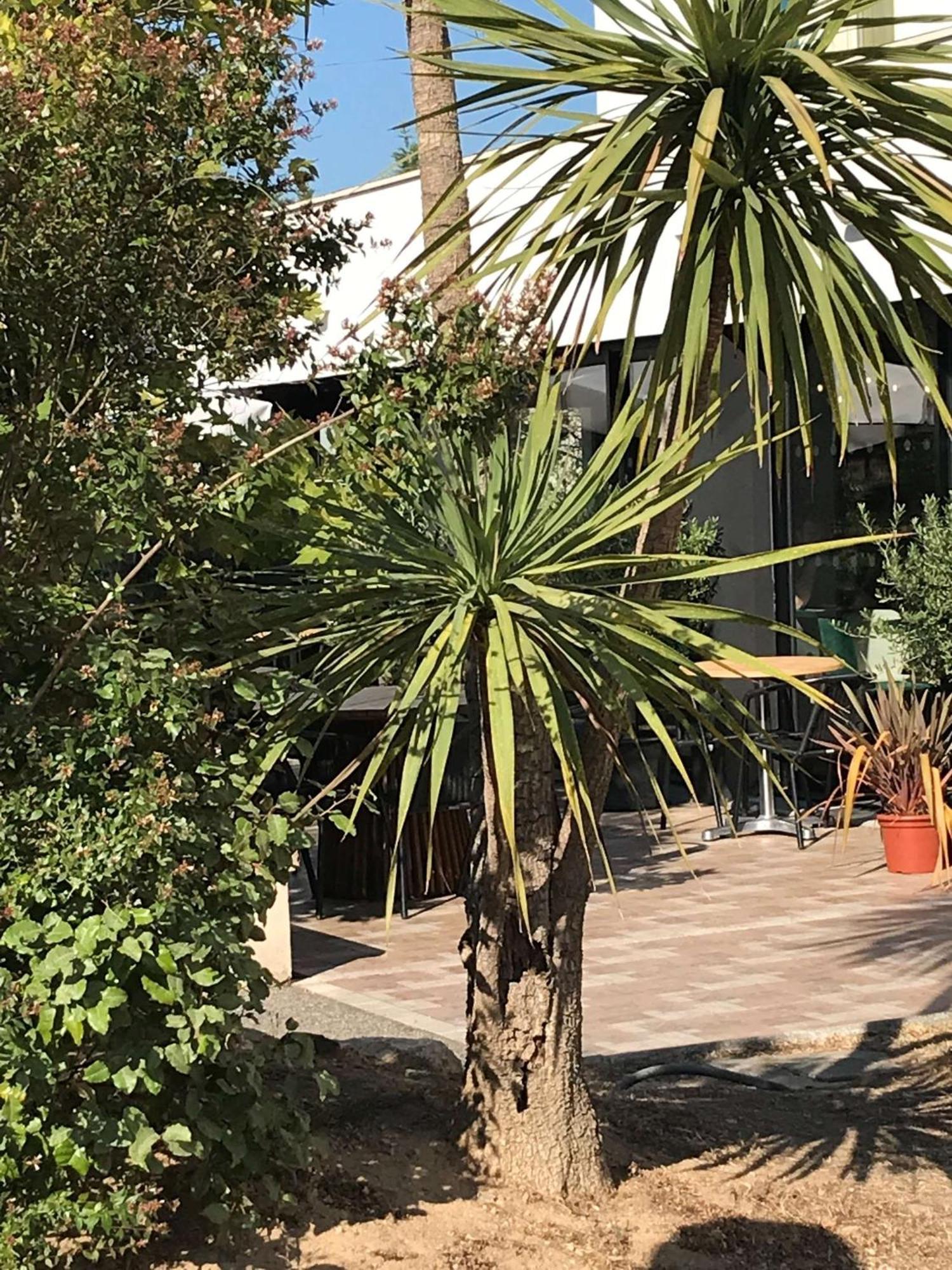 Brit Marseille Aéroport - A&s Hotel Mirabeau